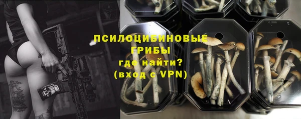 дживик Новокубанск