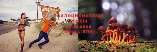 дживик Новокубанск