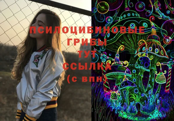 бутират Билибино