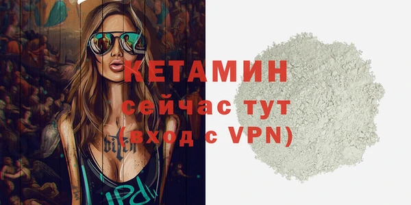 стафф Новозыбков