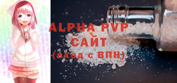 стафф Новозыбков