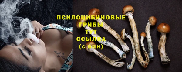 ALPHA-PVP Новодвинск