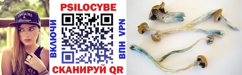 blacksprut ССЫЛКА Каменск-Уральский Галлюциногенные грибы GOLDEN TEACHER