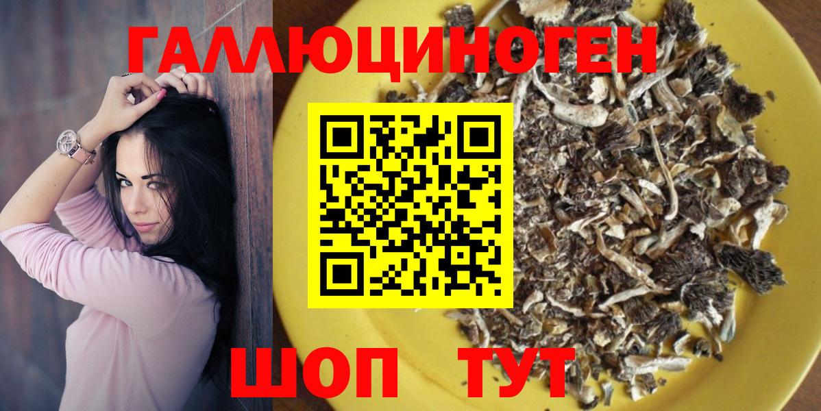 Псилоцибиновые грибы мицелий Каменск-Уральский