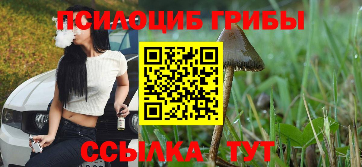 Галлюциногенные грибы мицелий Каменск-Уральский